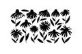 Hand drawn vector chamomiles brush painted flowers