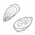 Hand drawn vector collection of illustrations of clams, mussels, oysters