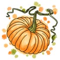 Hand drawn vector of colorful pumpkin.