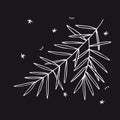 Hand drawn vector coniferous branch and snowflakes