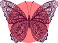 Hand drawn vector doodle butterfly illustration Royalty Free Stock Photo