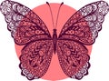 Hand drawn vector doodle butterfly illustration