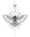 Hand drawn vector esoteric symbol, bug with sacred geometry.