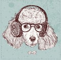 Hand Drawn Vector Fashion Portrait of Poodle