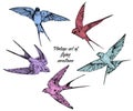 Hand drawn vector flying swallows vintage set