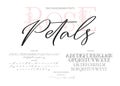 Hand drawn vector font.