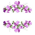 Hand drawn vector frame. Floral wreath with leaves. Sweet pea. D