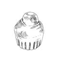 Hand drawn vector french brioche bun illustration