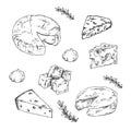 Hand drawn vector fresh milk cheese set Royalty Free Stock Photo