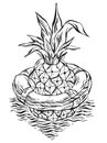 Hand drawn vector graphic illustration of pineapple floating in lifebuoy in ocean waves.