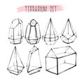 Hand drawn vector graphic line glass terrarium collection set isolated on white background.Design for gardening