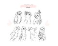 Hand drawn vector graphic line illustration collection set of tropical exotic paradise birds parrots isolated on white Royalty Free Stock Photo
