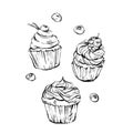 Hand drawn vector graphic sweet food design elements collection set with hand made modern graphic cupcakes with berries Royalty Free Stock Photo