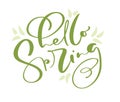 Hand drawn vector green text Hello spring. motivational and inspirational season quote. Calligraphic card, mug, photo Royalty Free Stock Photo