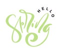 Hand drawn vector green text Hello spring. motivational and inspirational season quote. Calligraphic card, mug, photo Royalty Free Stock Photo