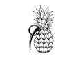 Hand drawn Vector Grenade pineaple