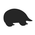 Hand drawn vector illustration animal of Australia silhouette echidna isolated on white background. Wild life and fauna