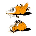 Hand-drawn vector illustration of autumn pumpkins