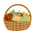 Hand drawn vector illustration of basket with various fruitsred apples, yellow pears, green grapes. Healthy snack