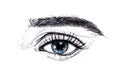 Hand drawn vector illustration. Beautiful woman eye makeup. Fashion sketch. Royalty Free Stock Photo