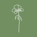 Hand drawn vector illustration of blooming meadow poppy wildflower. Logo design element for summer spring Easter