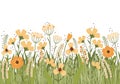 Hand drawn vector illustration blooming summer meadow. Flower banner on white background. Lot of different yellow Royalty Free Stock Photo