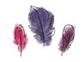 Hand drawn vector illustration bohemian, tribal, ethnic feathers. Royalty Free Stock Photo