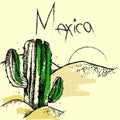 Vector illustration of cactus in the wild desert