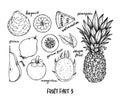 Hand drawn vector illustration - Collection of tropical and exotic Fruits. Healthy food elements. Pineapple, watermelon, pear,