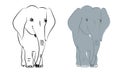 Hand drawn vector illustration with a cute elephant monochrome and colored