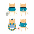 Cute cat on summer holidays Royalty Free Stock Photo