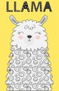 Hand drawn vector illustration of a cute funny llama. Isolated objects on white. Scandinavian style flat design