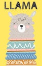 Hand drawn illustration of a cute funny llama. Isolated objects on white. Scandinavian style flat design