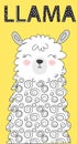 Hand drawn illustration of a cute funny llama. Isolated objects on white. Scandinavian style flat design