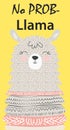 Hand drawn illustration of a cute funny llama. Isolated objects on white. Scandinavian style flat design