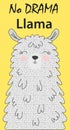 Hand drawn illustration of a cute funny llama. Isolated objects on white. Scandinavian style flat design