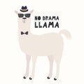 Cute and cool llama Royalty Free Stock Photo