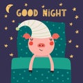 Cute sleeping pig Royalty Free Stock Photo