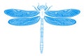 Hand drawn vector illustration of dragonfly. Blue silhouette of insect.