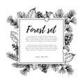 Hand drawn vector illustration - forest frame with spruce branch Royalty Free Stock Photo