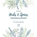 Hand drawn vector illustration. Frame with herbs and spices sag