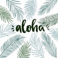 Hand drawn vector illustration - frame with Palm leaves and aloha lettering. Tropical design elements. Perfect for prints, poster Royalty Free Stock Photo