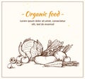 Hand drawn vector illustration -Fresh vegetables. Supermarket. Royalty Free Stock Photo