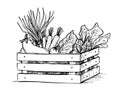 Hand drawn vector illustration -Fresh vegetables. Supermarket Royalty Free Stock Photo