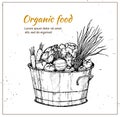 Hand drawn vector illustration - Fresh vegetables. Supermarket. Royalty Free Stock Photo