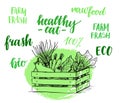 Hand drawn vector illustration - Fresh vegetables. Supermarket. Royalty Free Stock Photo