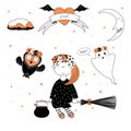 Funny witch, owl and ghost illustration Royalty Free Stock Photo