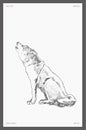 Hand drawn vector illustration of grey wolf sketch