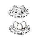 Hand drawn vector illustration. Happy Easter Spring nest with bird eggs.