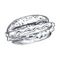Hand drawn vector illustration of hot dog in sketch style. Traditional fast food dish. Royalty Free Stock Photo